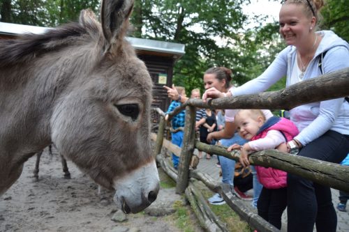 Zoo Děčín