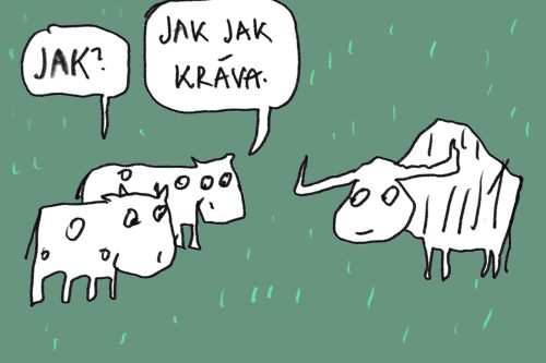 jak